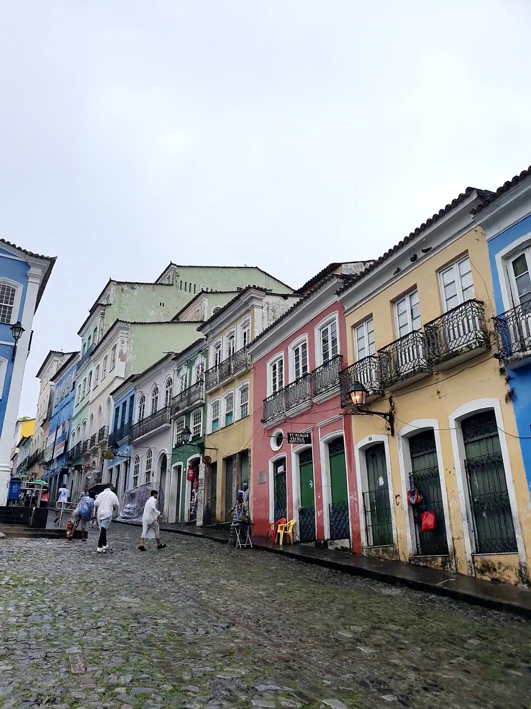 Salvador2