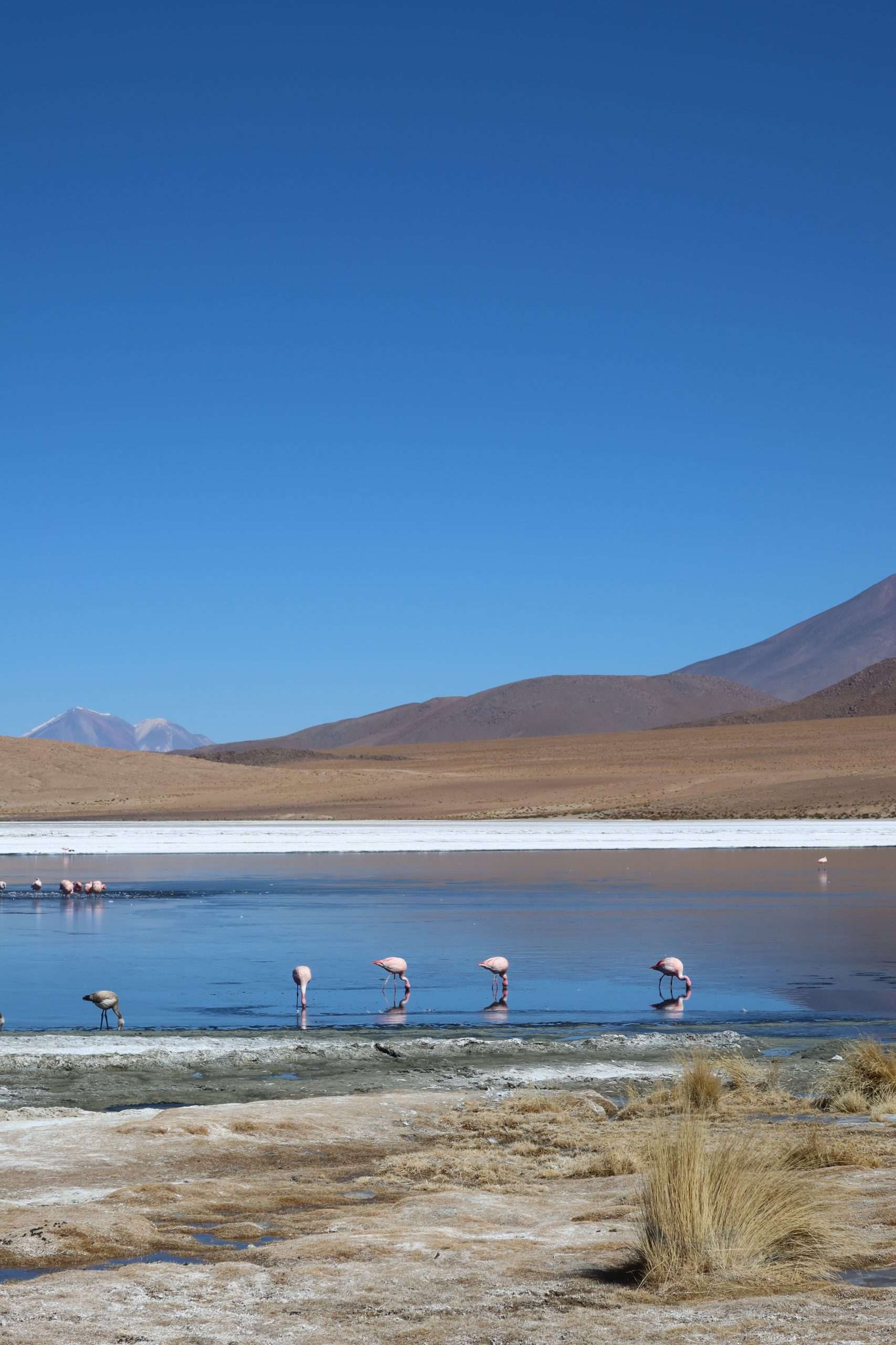 Uyuni0