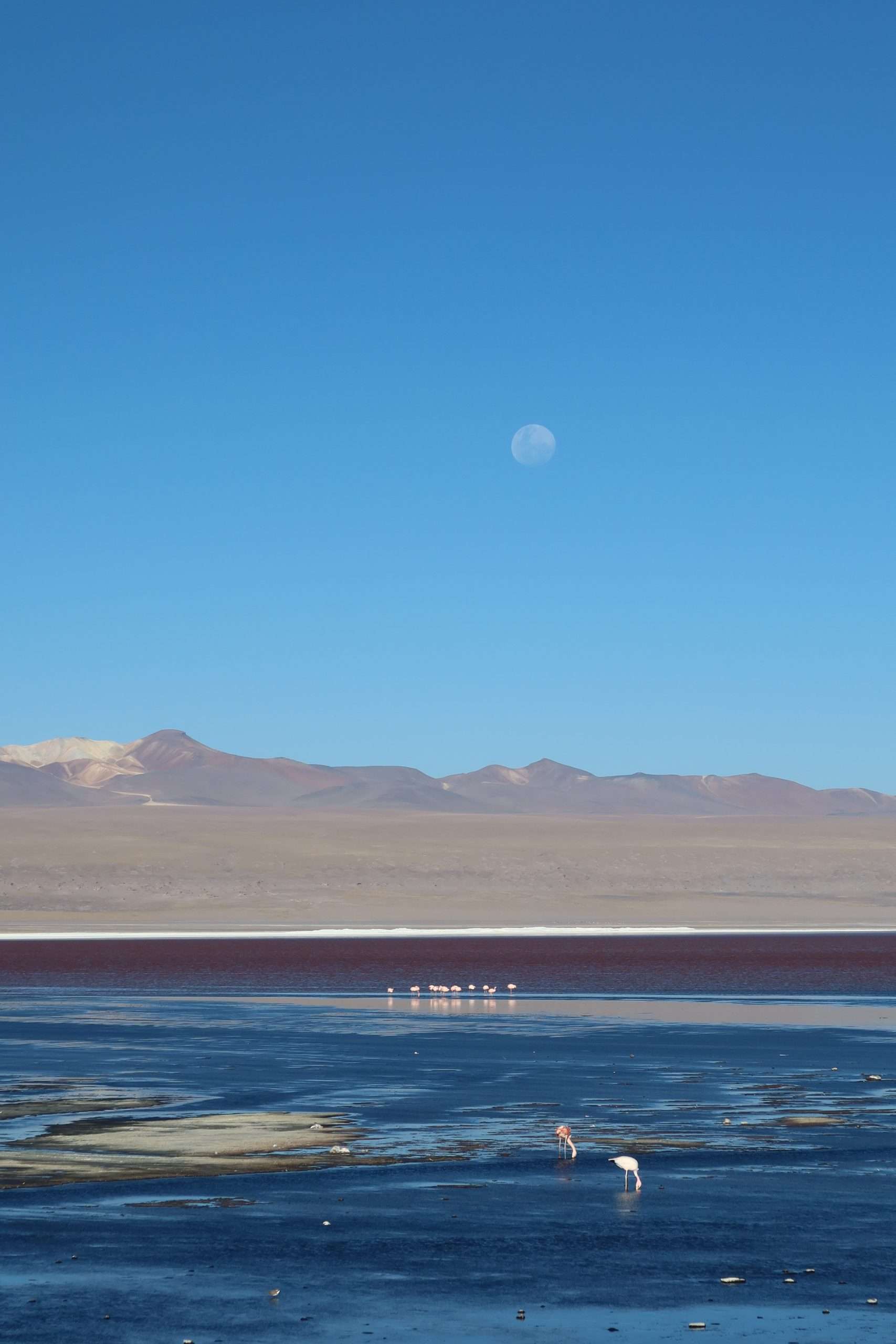 Uyuni3