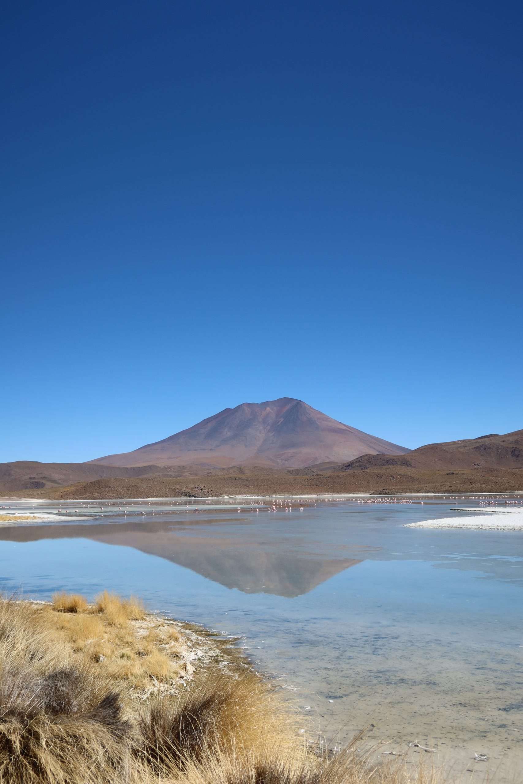 Laguna Verde