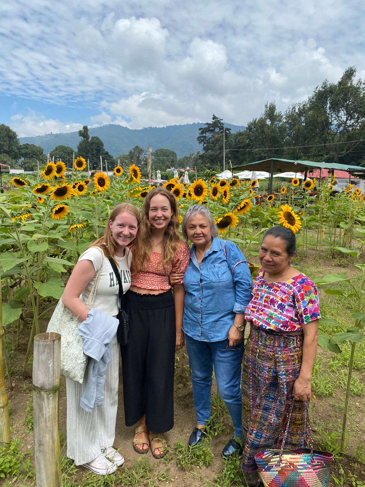 Sonnenblumen mit Mutter und Freundin der Kollegin von Kim