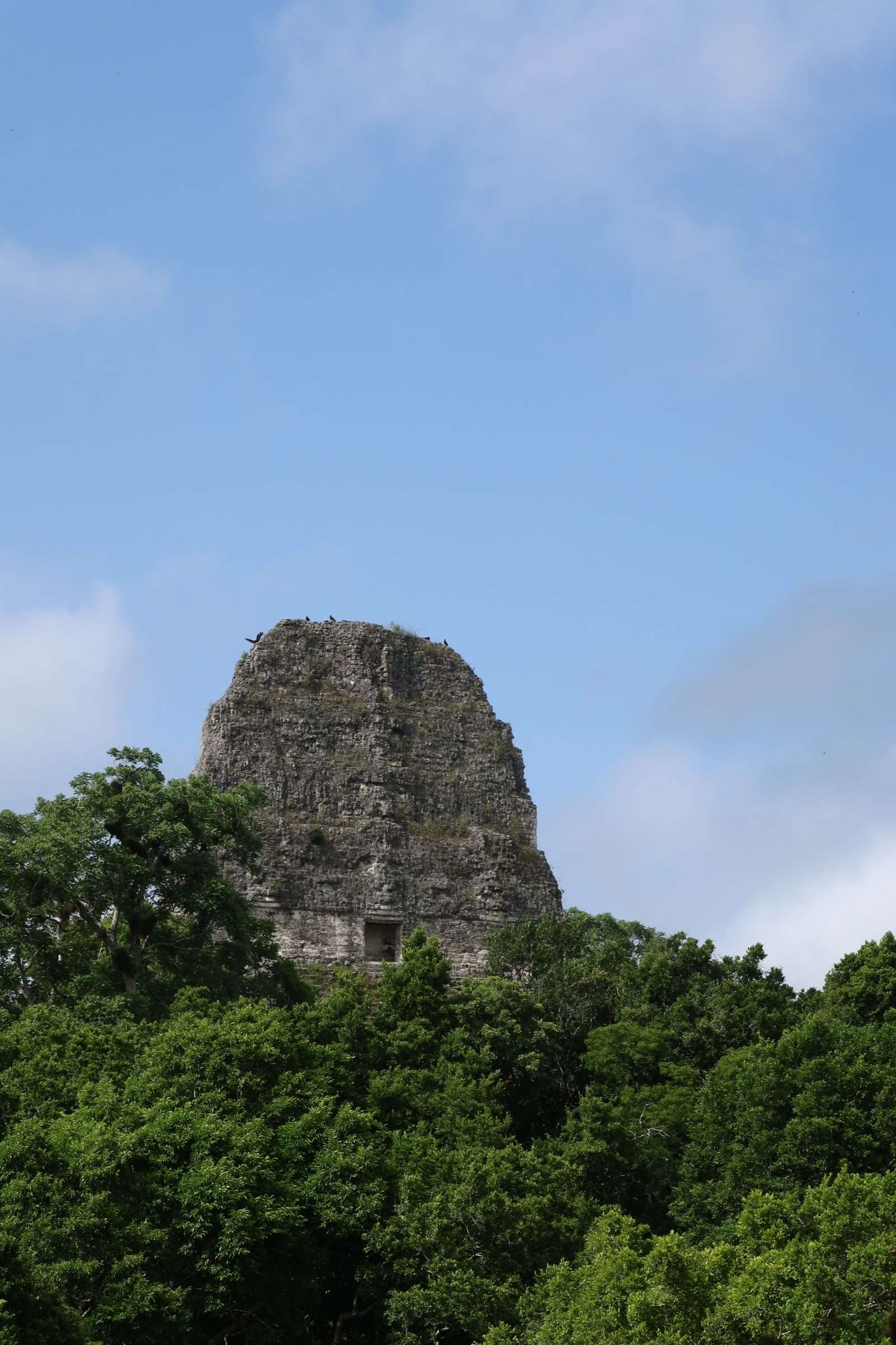 Tikal9