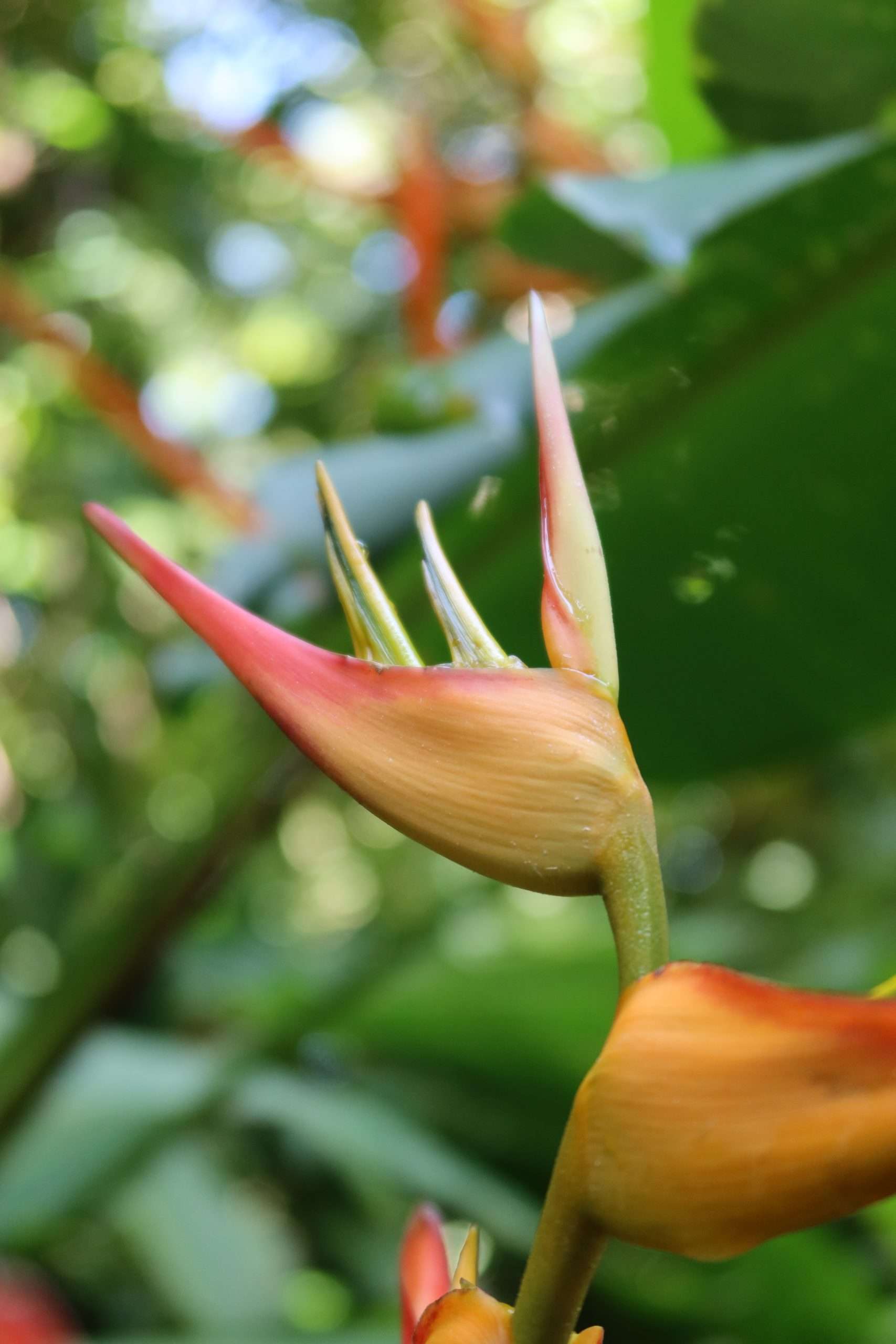 MA11