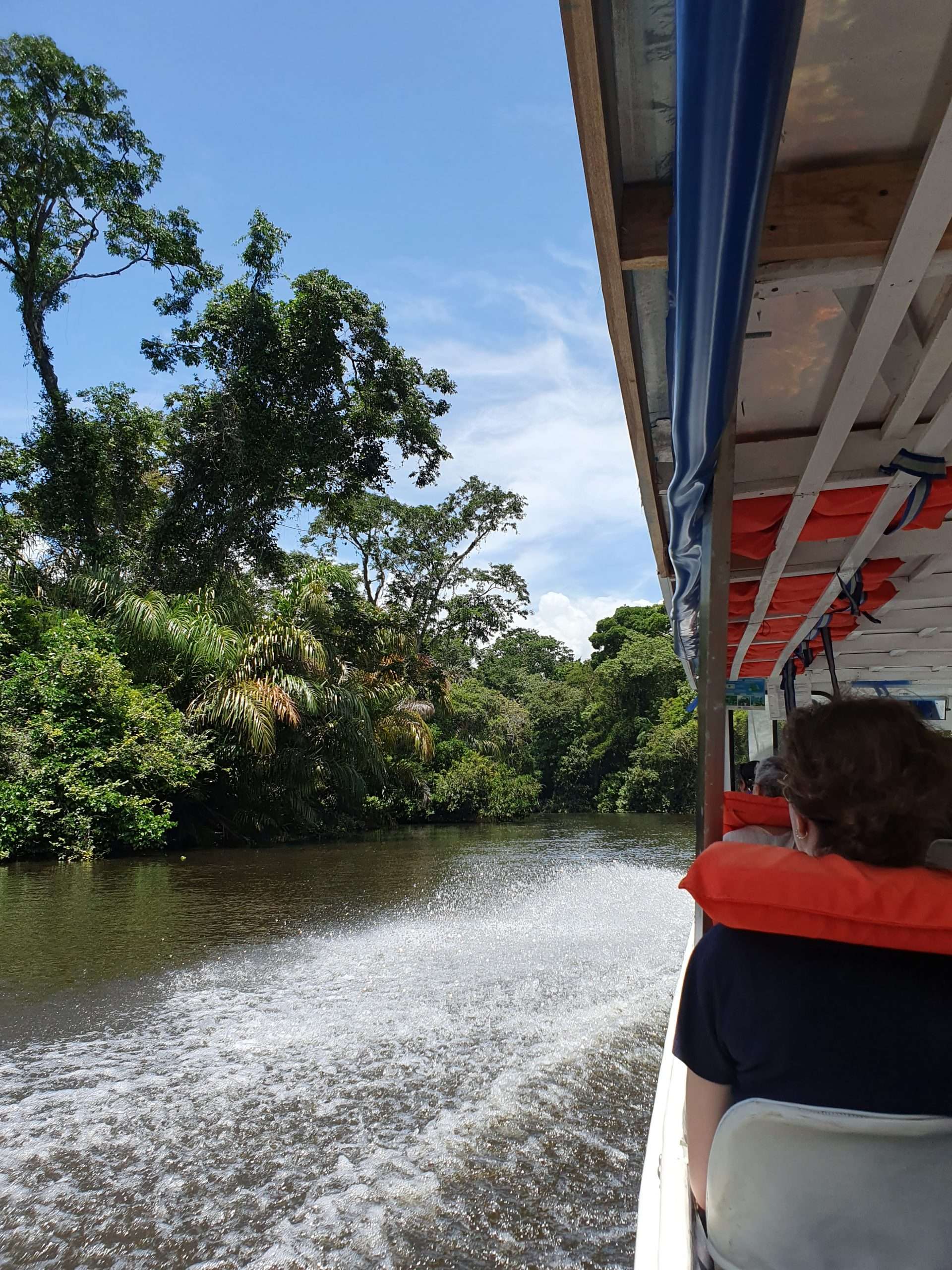 Tortuguero14