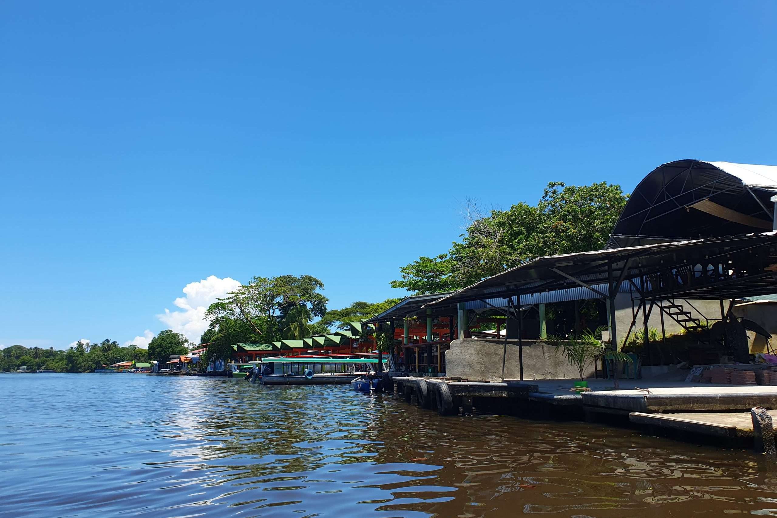 La Pavona nach Tortuguero
