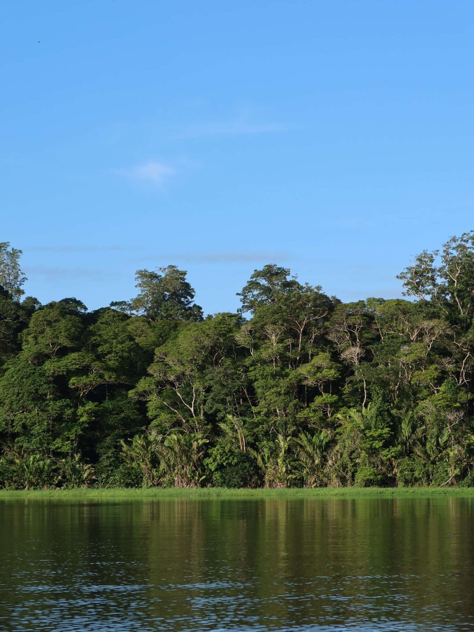 Tortuguero17