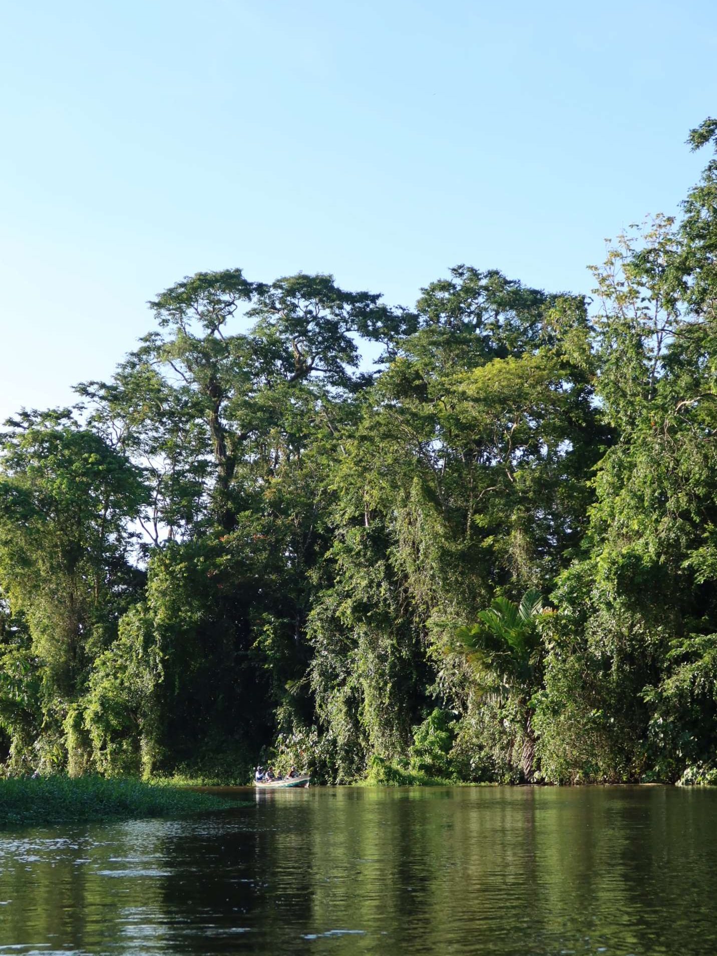 Tortuguero18