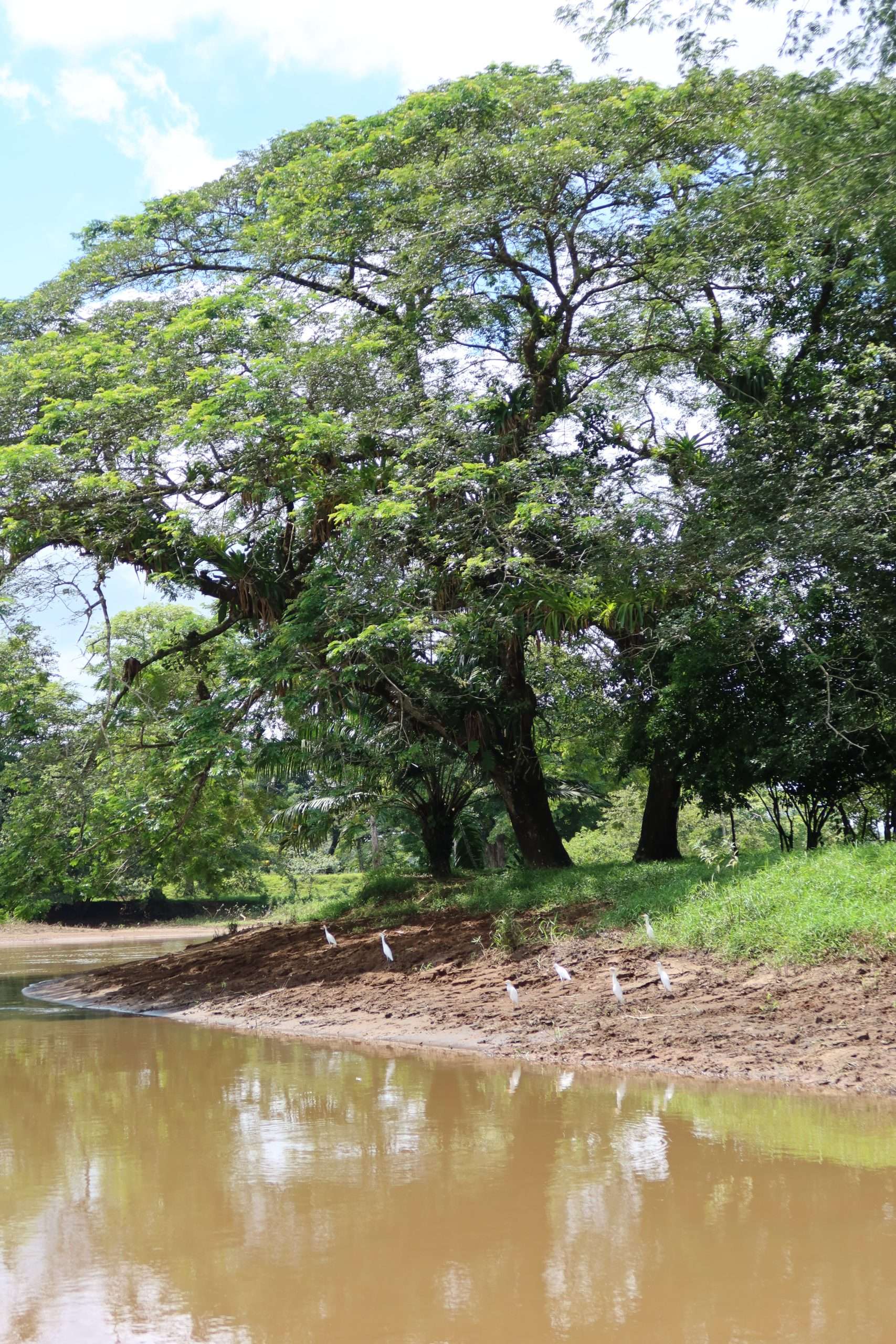 CanoNegro6