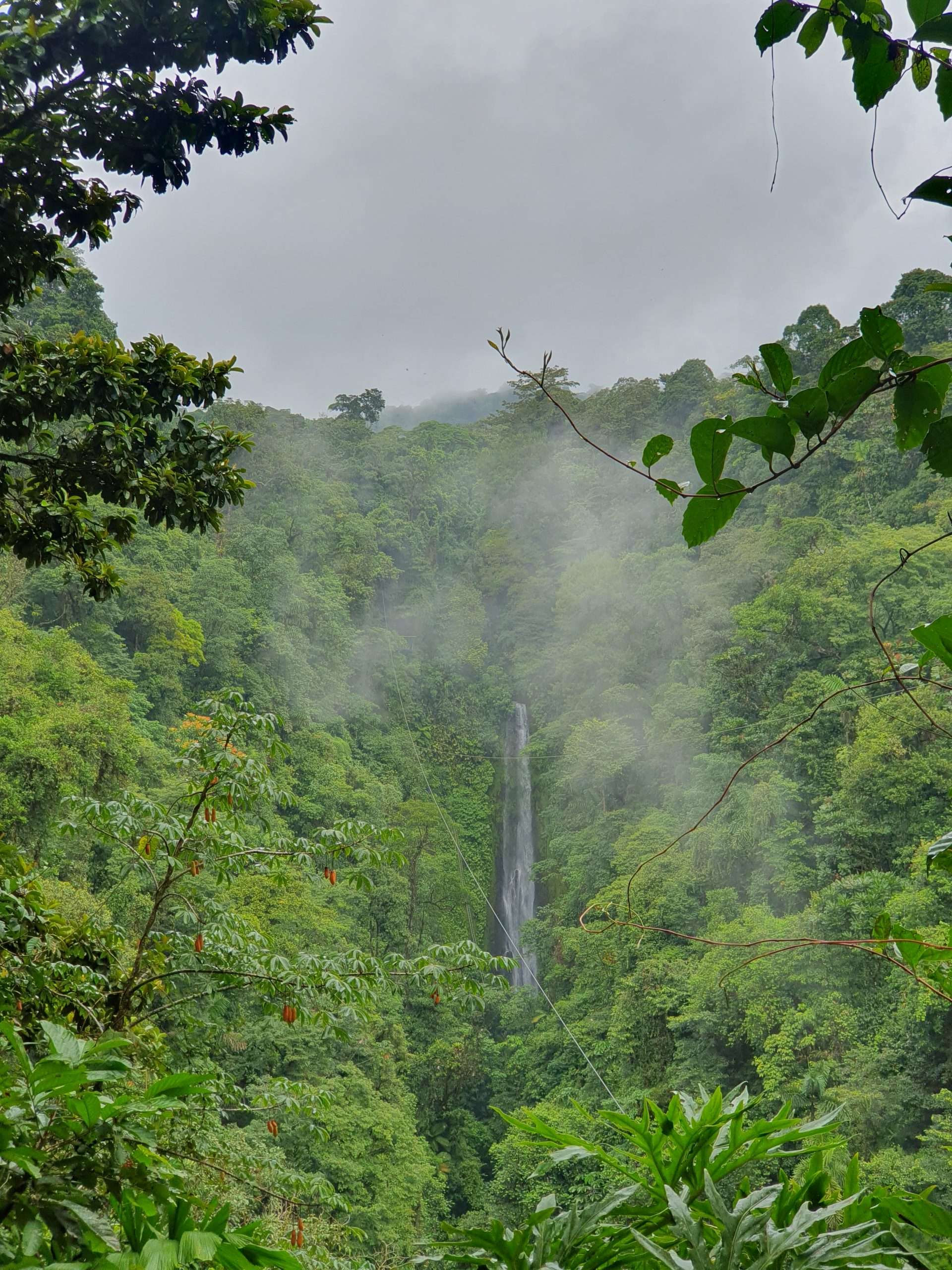 LaFortuna