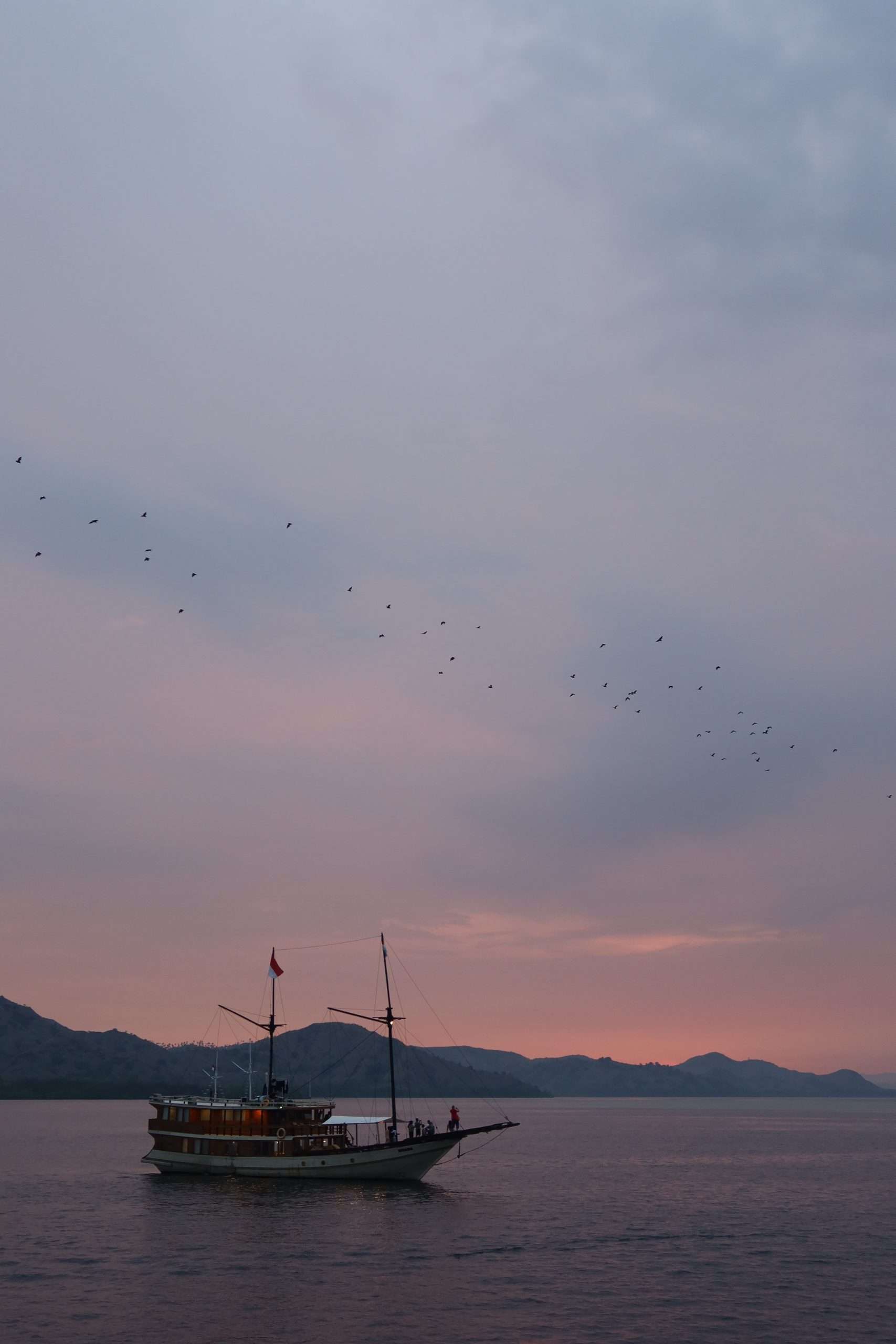 Sonnenuntergang mit vielen Fledermäusen